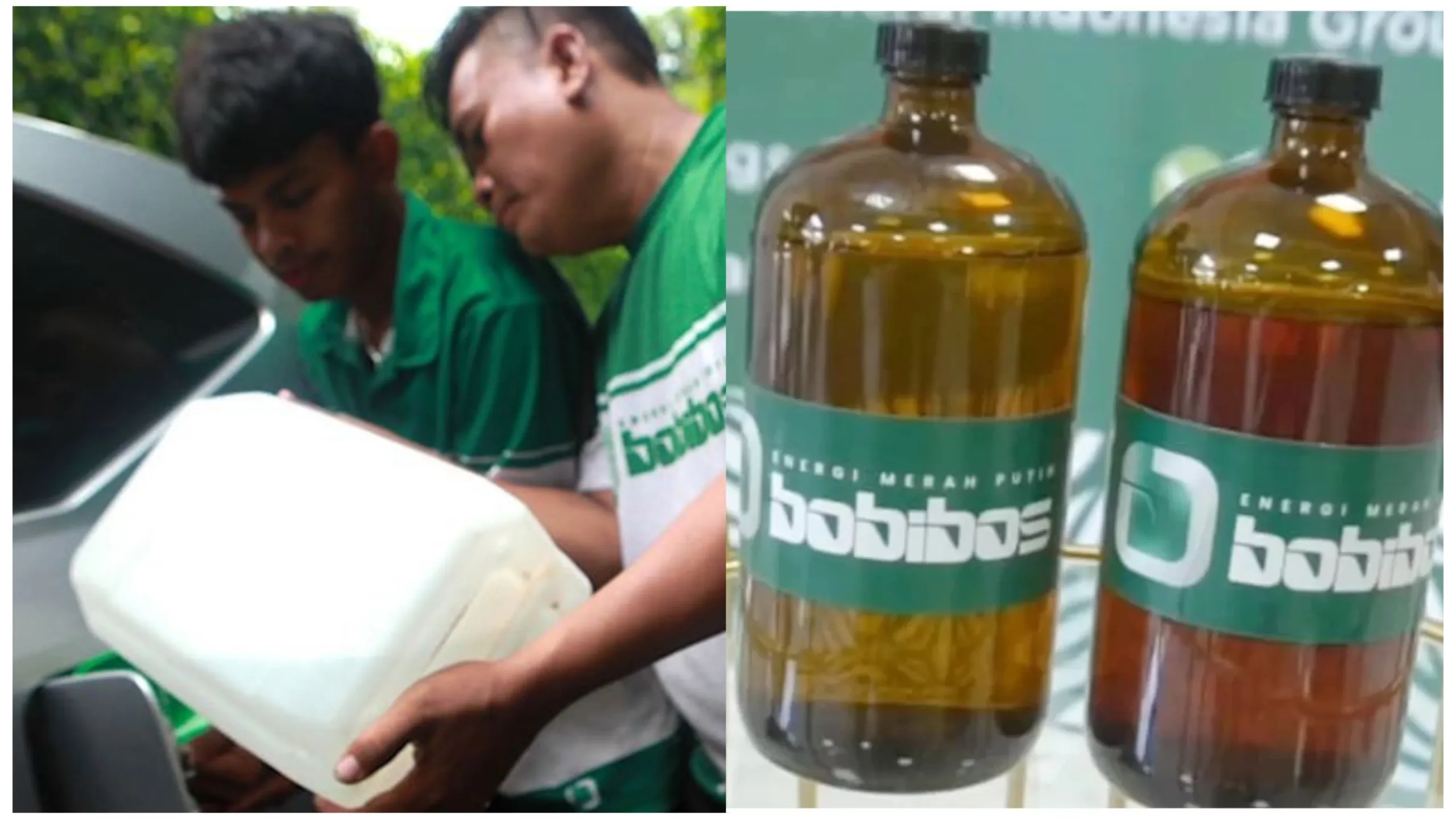 Bobibos Mulai Mendunia, Norwegia dan Timor Leste Uman: kami berharap pemerintah Indonesia juga akan me-launching Bobibos, sebagai bahan bakar resmi di negara kita