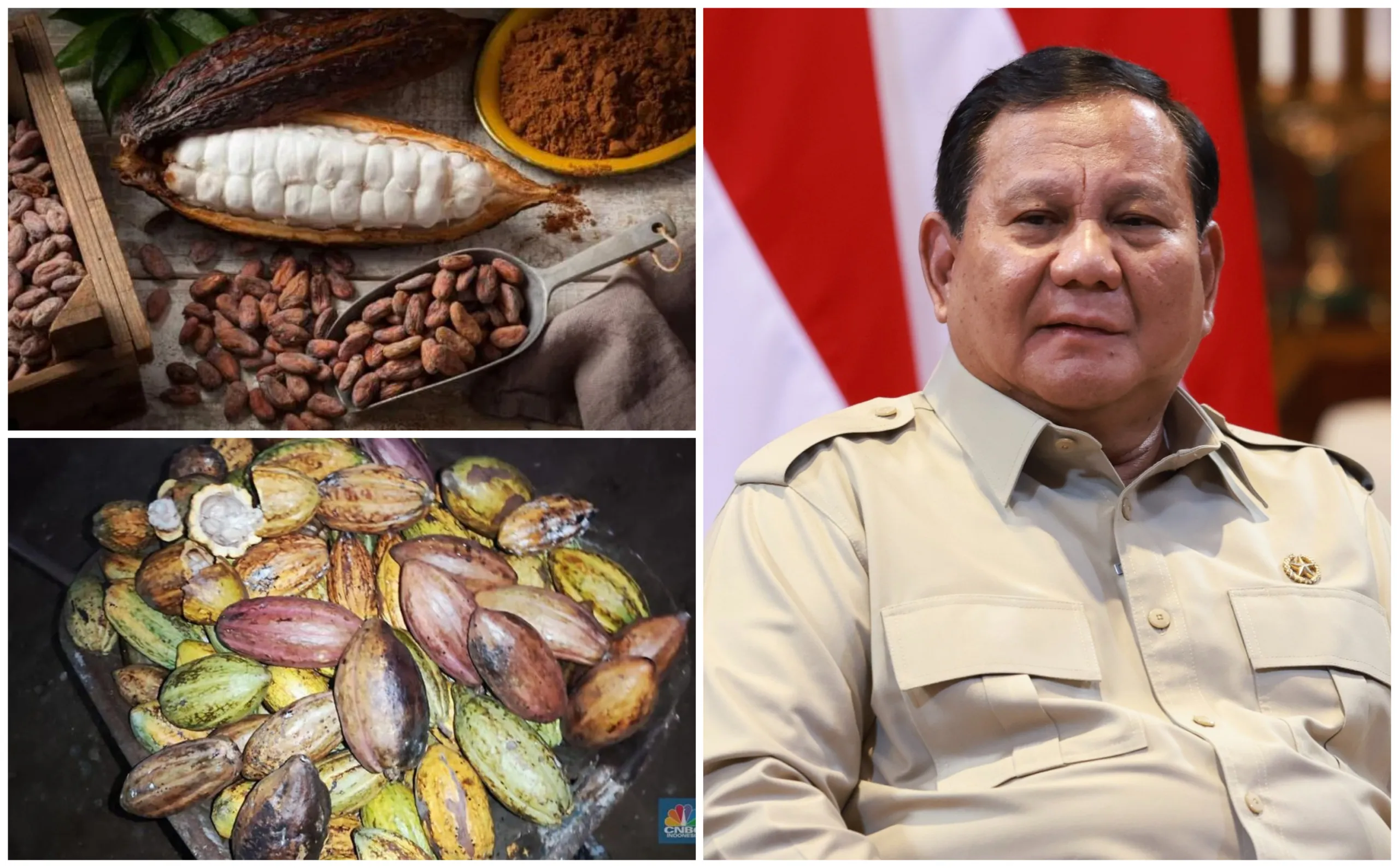 Presiden Prabowo Soroti Meledaknya Impor Kakao