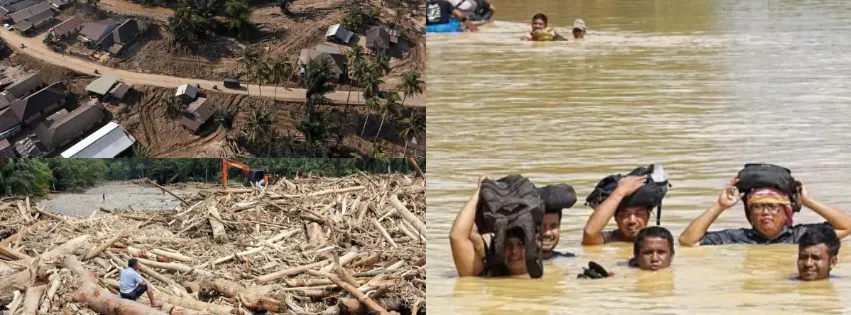 7 Perusahaan Mengadu Ke DPR, Kemenhut Buka Suara Tentang Pencabutan Izin Pascabanjir Sumatra