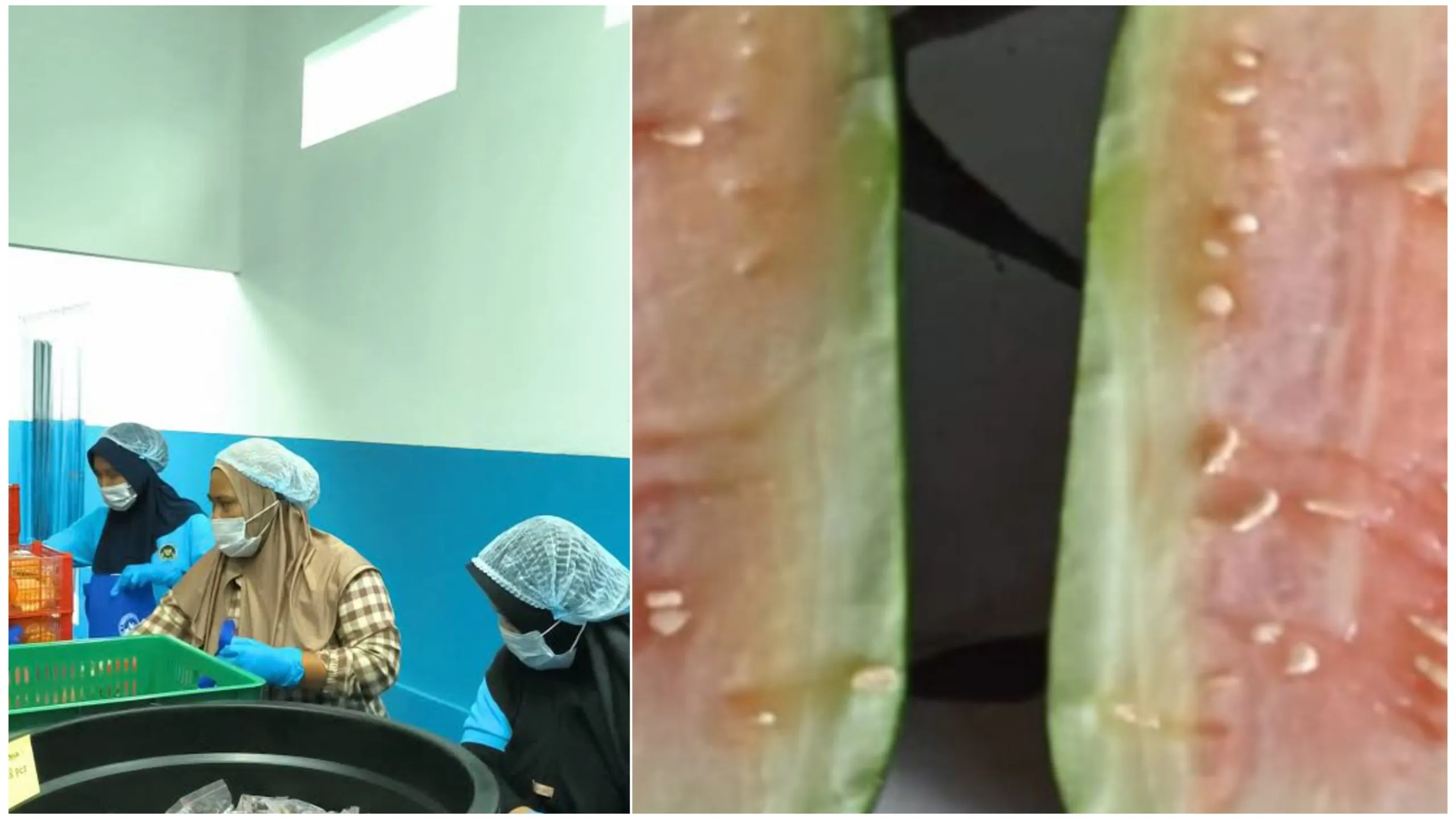 Dinilai Kebal Hukum Program MBG Kembali Meresahkan Warga Cianjur