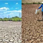 BMKG Sebut Kecil Kemungkinan Super El Nino Terjadi Tahun Ini, tapi Kemarau Lebih Lama