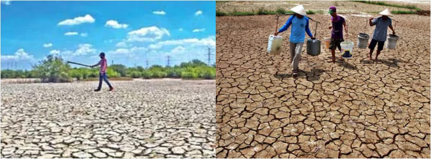 BMKG Sebut Kecil Kemungkinan Super El Nino Terjadi Tahun Ini, tapi Kemarau Lebih Lama