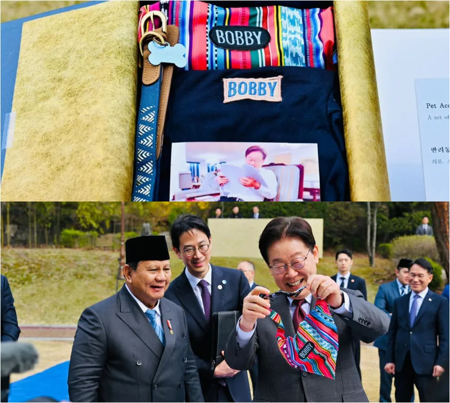 Diplomasi “Anabul” ala Presiden Prabowo di Republik Korea, Curi Atensi Presiden Lee