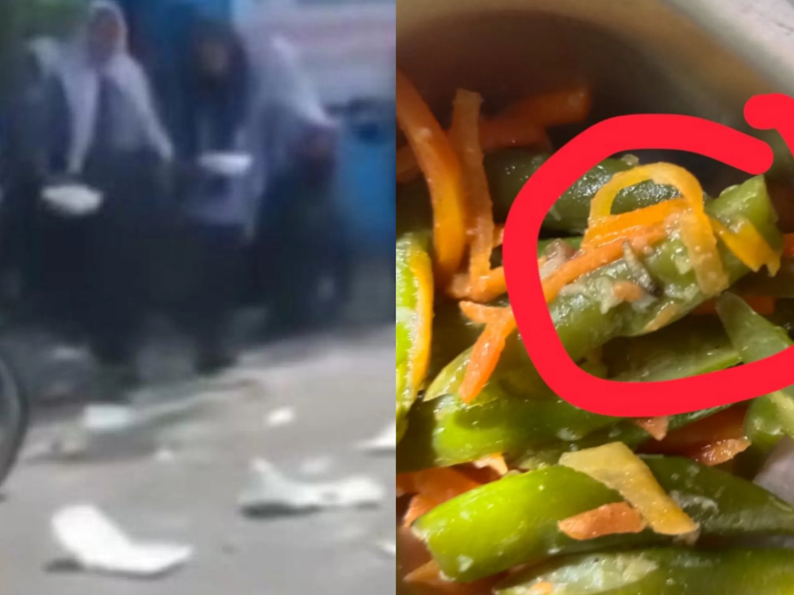 Viral! Pelajar Deli Serdang Buang MBG di Jalan, Diduga Kesal Tak Layak Konsumsi