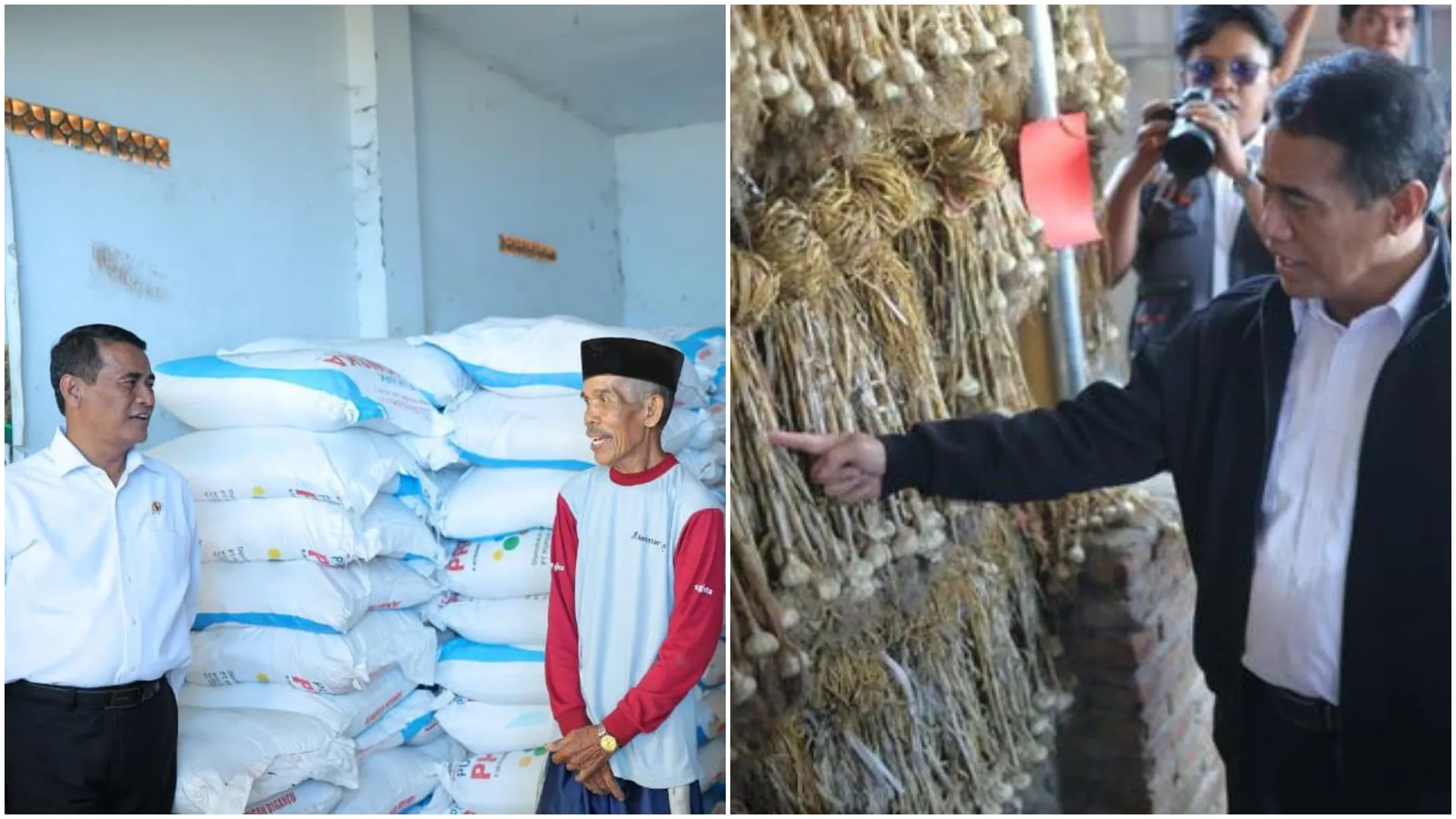 Mentan Cabut Izin Distributor Pupuk Subsidi dan Menindaklanjuti Laporan Adanya Penjualan Bawang Merah Ilegal di Sumut