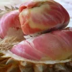 Durian Pelangi, Si Eksotis Kaya Manfaat Bagi Tubuh