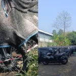 Ribuan Unit Motor Listrik Disita Jaksa Agung Dari Gudang Bogor