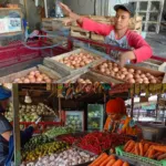 Dapur MBG Wajib Belanja Sesuai Harga Acuan Pemerintah