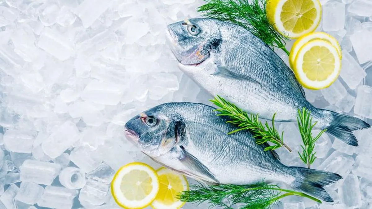Penyebab Keracunan di Karo Terungkap, BGN: Ikan Tidak Disimpan Di Freezer