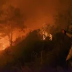 Gunung Semeru Kebakaran 170 Pendaki Terjebak di Ranu Kumbolo, Jalur Pendakian Ditutup Sementara