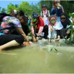 Jakarta Ecotourism Festival 2026, Edukasi Sekaligus Wisata Jaga Mangrove