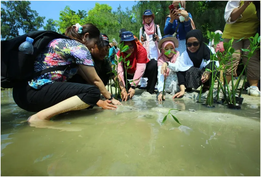 Jakarta Ecotourism Festival 2026, Edukasi Sekaligus Wisata Jaga Mangrove