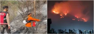 Karhutla Gunung Sumbing Temanggung Mencapai Luas 344 Hektar, Perhutani Bongkar Penyebabnya