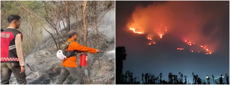 Karhutla Gunung Sumbing Temanggung Mencapai Luas 344 Hektar, Perhutani Bongkar Penyebabnya