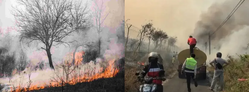 Wali Kota Palangka Raya Buka Suara Terkait Pemberitaan Honor Relawan Karhutlah Belum Dibayarkan