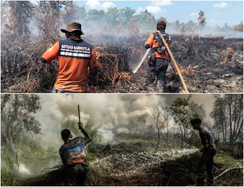 Karhutla Kian Membara, Kalimantan Tengah Jadi Pusaran 793 Titik Api di Indonesia