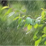 10 Daerah Dengan Curah Hujan Terrendah di Indonesia